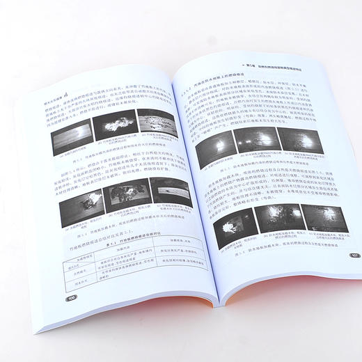 正版 放火火灾调查 放火纵火火灾调查中技术与鉴定 消防现场勘验火灾鉴定火灾原因调查指纹和DNA提取技术火灾勘查涉火案件侦查书籍 商品图4