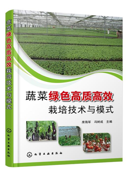 蔬菜绿色高质高效栽培技术与模式 蔬菜绿色高质高效单项实用技术 日光温室环境调控露地蔬菜栽培土肥水管理农药病虫害绿色防控书籍 商品图0