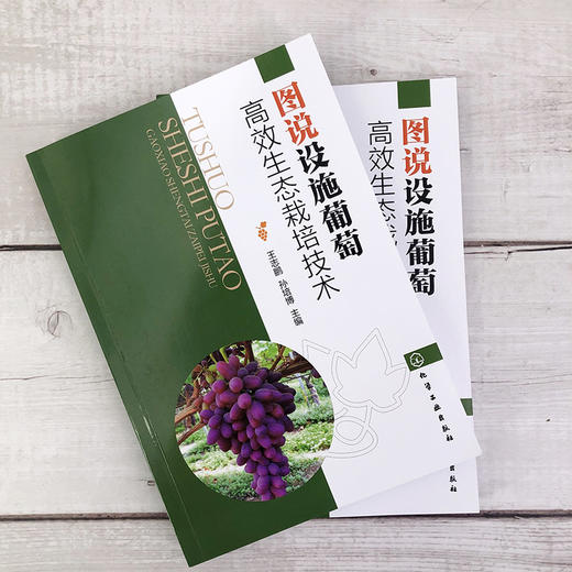 图说设施葡萄高效生态栽培技术 葡萄高效栽培技术 葡萄栽培设施建设 葡萄生物学特性 葡萄苗木培育设施葡萄生态栽培技术应用书籍 商品图2