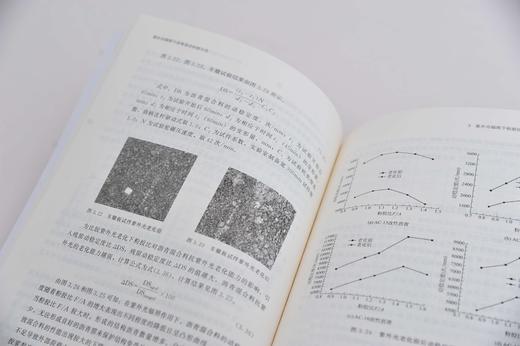 紫外光辐照下沥青混合料耐久性 紫外光辐照下沥青胶浆物理性能 流变性能和微观性能演化规律 紫外光辐照下沥青混合料技术性质书籍 商品图3