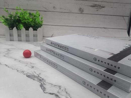 茶文化与茶家具设计 茶家具文化内涵 茶家具审美特征 茶家具种类大全 茶家具设计操作流程 绘画美学 茶事礼仪 中国茶文化设计书籍 商品图5