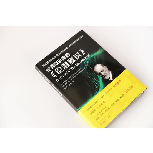 国际精神分析协会《当代弗洛伊德：转折点与重要议题》系列--论弗洛伊德的《论潜意识》 商品图3