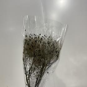 永生花材 ｜ 柔丝复色