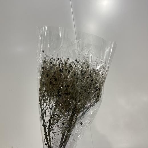 永生花材 ｜ 柔丝复色 商品图0