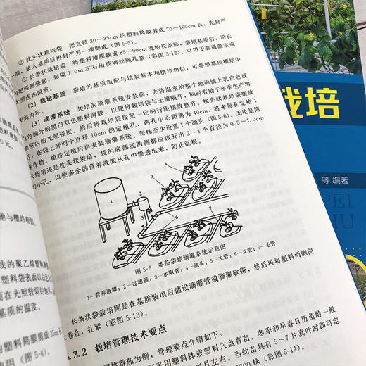 蔬菜无土栽培实用技术 无土栽培概念类型特点发展历史应用范围 无土栽培基地规划与环境调控技术 蔬菜作物无土栽培理论知识应用书 商品图3