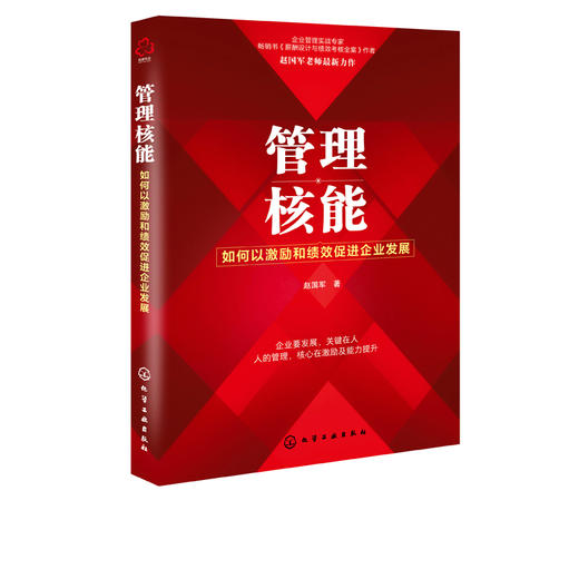 管理核能 如何以激励和绩效促进企业发展 企业管理保证企业发展战略目标落地 企业绩效管理 绩效考核体系员工激励人力资源应用书籍 商品图5