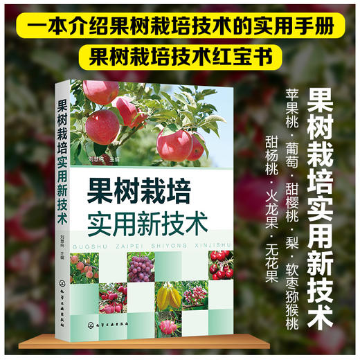 果树栽培实用新技术 苹果桃葡萄甜樱桃梨果树栽培技术实用手册 高产栽培修剪病虫害防治生态果园管理果树栽培书果树栽培种植技术书 商品图5