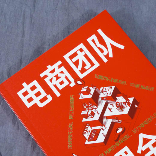 电商团队管理全案 招聘培训与绩效薪酬 张宜君 HR招聘薪酬绩效管理人事雇人灵活用工劳务派遣劳动关系 降低用人成本提升经营效益 商品图2