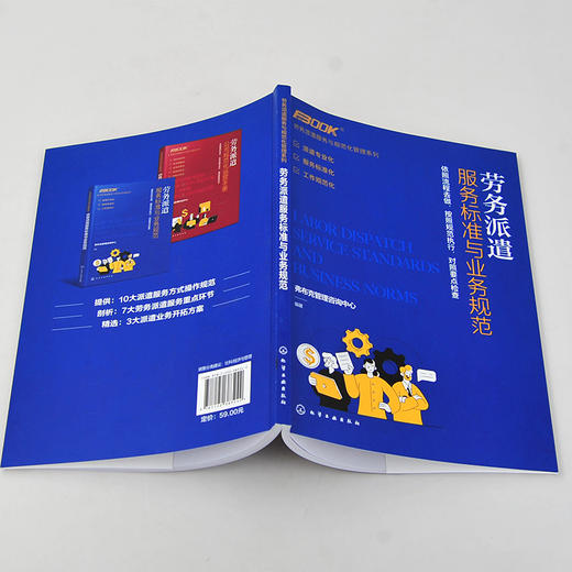 劳务派遣服务与规范化管理系列 劳务派遣服务标准与业务规范 劳务派遣运营服务标准工作服务规范 劳务派遣业务公司组织设计应用书 商品图3