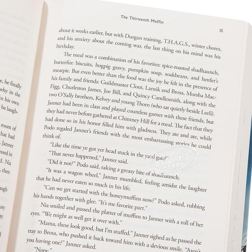 【中商原版】羽翼传奇4 英文原版 The Wingfeather Saga #04: The Warden and the Wolf King Andrew Peterson 青少年奇幻小说 商品图3