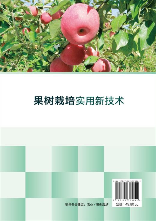 果树栽培实用新技术 苹果桃葡萄甜樱桃梨果树栽培技术实用手册 高产栽培修剪病虫害防治生态果园管理果树栽培书果树栽培种植技术书 商品图1