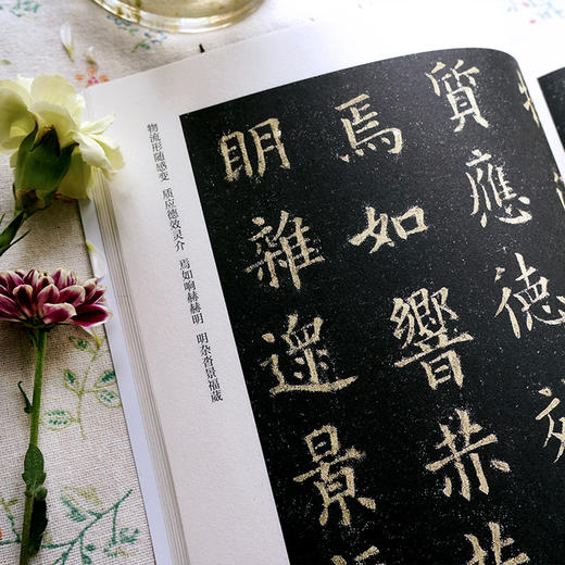 十大楷书名帖放大临摹本 欧阳询九成宫醴泉铭 经典楷书书法字帖临摹放大本 毛笔字帖技法入门自学教材 经典书法名帖临摹鉴赏书籍 商品图4