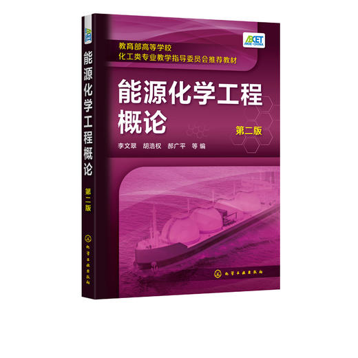 能源化学工程概论 第二版 化学化工基础知识 能源及能源利用能源重要性与能源危机 能源转化为动力燃料和电能开发资源化利用应用书 商品图2