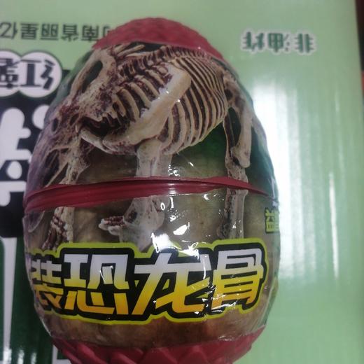 拼装恐龙骨 商品图0