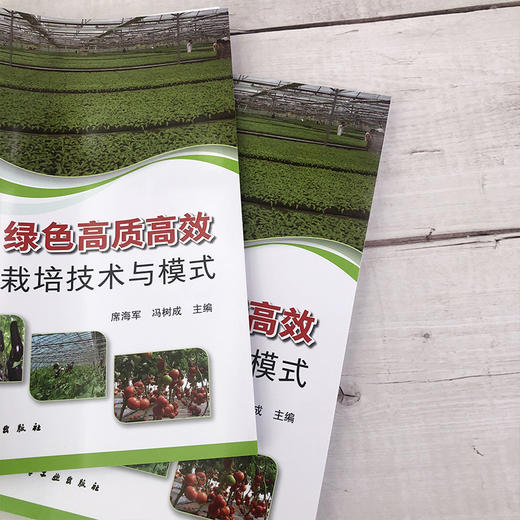 蔬菜绿色高质高效栽培技术与模式 蔬菜绿色高质高效单项实用技术 日光温室环境调控露地蔬菜栽培土肥水管理农药病虫害绿色防控书籍 商品图3