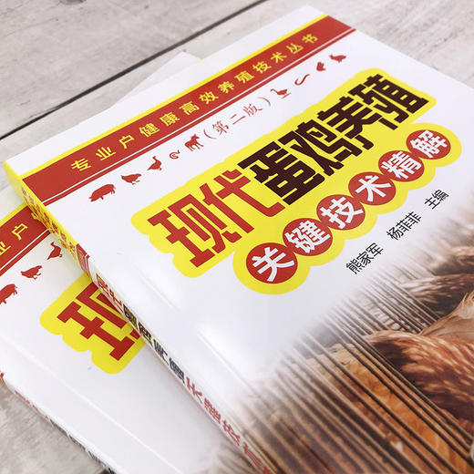 现代蛋鸡养殖关键技术精解 专业户健康高效养殖技术丛书 蛋鸡养殖孵化饲养疾病防治 蛋鸡养殖场建设管理 养殖专业户养鸡场参考书 商品图3