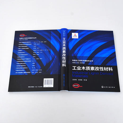 先进化工材料关键技术丛书 工业木质素改性材料 木质素 功能材料 改性材料 化学改性 生物质利用 材料科学与工程专业人员应用书籍 商品图5