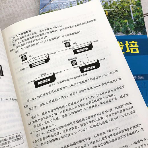蔬菜无土栽培实用技术 无土栽培概念类型特点发展历史应用范围 无土栽培基地规划与环境调控技术 蔬菜作物无土栽培理论知识应用书 商品图4