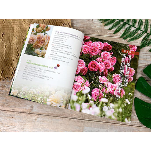 从零开始打造月季花园 横滨英国花园设计总监月季育种家河合伸志 月季花园营造指南 月季种植 打造月季花园从零开始月季养护一本通 商品图3