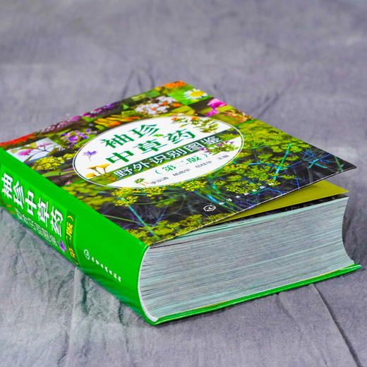 袖珍中草药野外识别图鉴 第二版 药用植物鉴别中国植物志 中华本草 中医药医师研究人员学生中草药爱好者参考工具书  中草药口袋书 商品图3