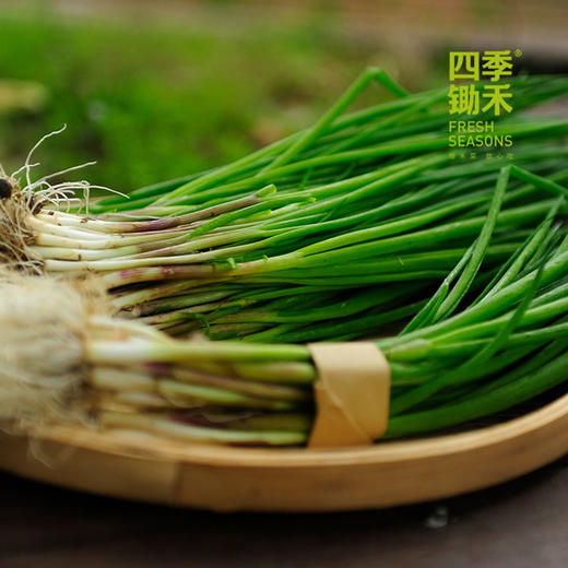 小葱（100g） 商品图0