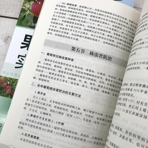 果树栽培实用新技术 苹果桃葡萄甜樱桃梨果树栽培技术实用手册 高产栽培修剪病虫害防治生态果园管理果树栽培书果树栽培种植技术书 商品图4