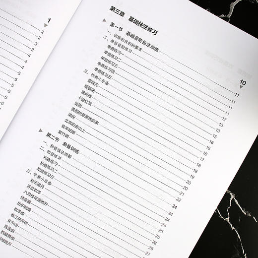 笙入门基础教程 从零起步学吹笙乐器教程笙教材笙书 笙乐曲谱子书 流行歌曲简谱入门初学者书 笙乐曲乐谱简谱教学笙曲集考级教程 商品图3