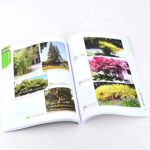 园林树木景观设计 园林树木景观概念 园林树木景观设计基本原理基础 园林树木造型艺术景观设计 园林木本地被植物景观设计应用书籍 商品图4