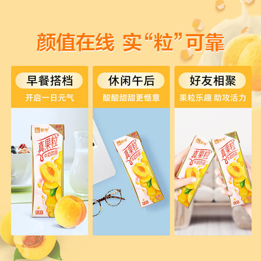 真果粒黄桃果粒250g×12盒 商品图3