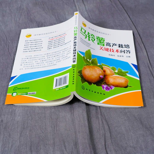 正版 马铃薯高产栽培关键技术问答 马铃薯高产栽培技马铃薯病虫害诊断防治技术蔬菜种植植保书 企业技术人员农技新型农民阅参考书 商品图4
