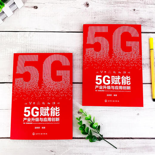 5G赋能 产业升级与应用创新 5G时代 5G新基建 5GAI云计算物联网智能技术新引擎 5G书籍5G的抗疫典型应用 各业数字转型应用技术书籍 商品图5