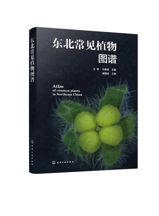 东北常见植物图谱 常见植物便携式百科全书 野外识别常见植物鉴别图册鉴定常见植物工具书植物奥秘植物志科种属种检索表速查一本通 商品图0