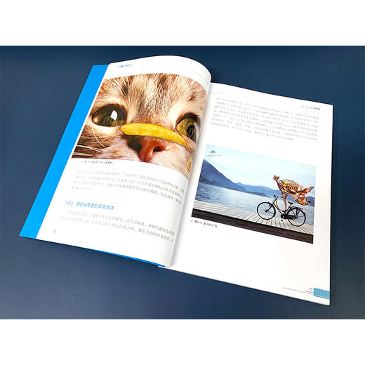 平面广告设计 广告概述策划创意?平面广告构成要素版面设计流派风格 视觉传达设计艺术 广告设计理论与案例 平面广告设计应用图书 商品图3