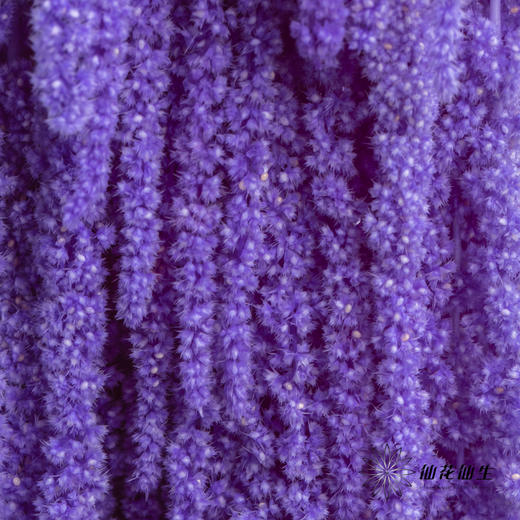 永生花材 ｜ 吊米水晶葡萄 商品图1