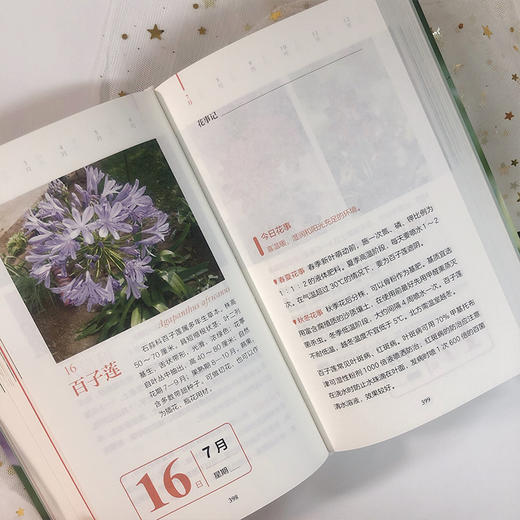 时光花事 新颖实用的园林植物识别手册 园林养护手册 植物科普书籍 植物日常养护手册 家庭养花指导手册 园林养护师参考阅读书籍 商品图4
