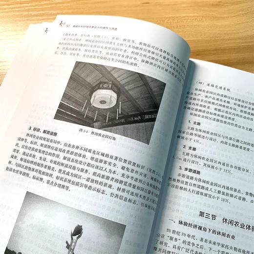 美丽乡村空间环境设计的提升与改造 度假村美丽乡村建筑 老房民居改造 美丽乡村道路城市小镇景观花园庭院改造设计 农村旧房子改造 商品图2