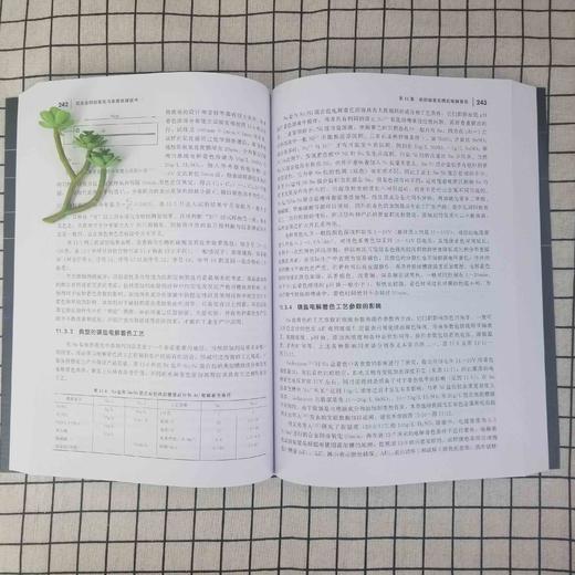 铝合金阳极氧化与表面处理技术 第三版 铝表面处理生产环境管理方面 腐蚀防护阳极氧化工艺 阳极氧化膜的形成机理和性能应用书籍 商品图3