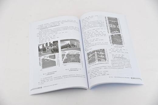 风景园林规划设计案例解析 风景园林用地规划设计程序 风景园林主题主景设计方法案例解析 风景园林绿地规划设计案例解析应用书籍 商品图3