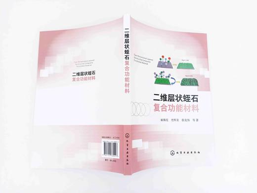 二维层状蛭石复合功能材料 纳米功能材料层状功能材料性质应用 复合功能材料层状功能材料概述 蛭石改性吸附催化方面技术应用书籍 商品图3