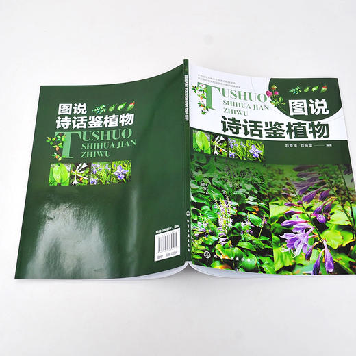图说诗话鉴植物 植物图鉴 古诗词 辨识植物 植物的药用价值 植物环保价值 园林绿化设计栽培欣赏 同类或易混植物区别 植物学书籍 商品图5