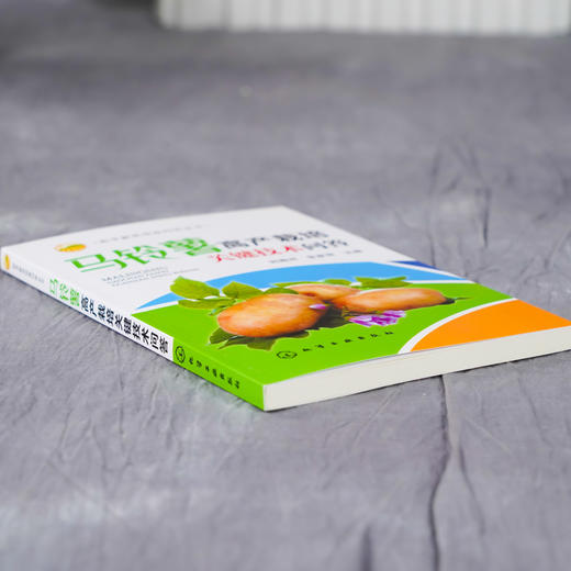 正版 马铃薯高产栽培关键技术问答 马铃薯高产栽培技马铃薯病虫害诊断防治技术蔬菜种植植保书 企业技术人员农技新型农民阅参考书 商品图3