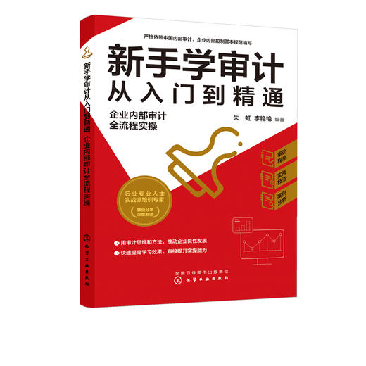 正版 新手学审计从入门到精通 企业内部审计全流程实操 审计新手流程实操指导审计实务入门书籍审计准则内审人员内部审计工作宝典? 商品图5