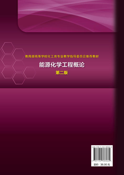 能源化学工程概论 第二版 化学化工基础知识 能源及能源利用能源重要性与能源危机 能源转化为动力燃料和电能开发资源化利用应用书 商品图1