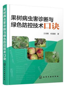 正版 果树病虫害诊断与绿色防控技术口诀 蔬菜病虫害防治技术经验防控药用技术 果树病害症状诊治防控 基层农技推广人员参考书籍
