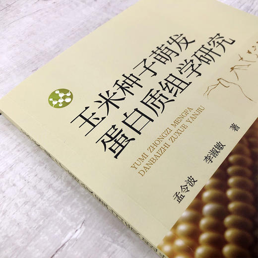 玉米种子萌发蛋白质组学研究 探索玉米种子的奥秘 蛋白质组学概念 植物种子蛋白质组学研究现状 农学生物学等学科研究人员参考书籍 商品图3