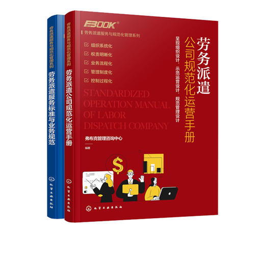 劳务派遣服务与规范化管理系列 2册 劳务派遣服务标准与业务规范 劳务派遣公司规范化运营手册劳务公司业务运营内部管理经营管理书 商品图4