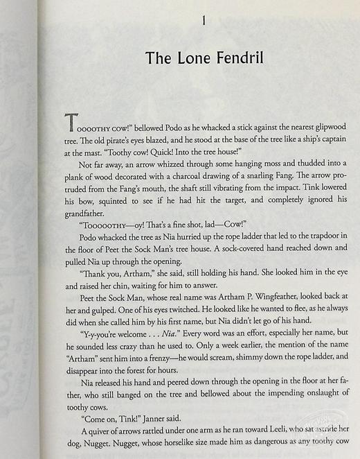 【中商原版】羽翼传奇2 英文原版 The Wingfeather Saga 02 North! Or Be Eaten Andrew Peterson 青少年奇幻小说 商品图7