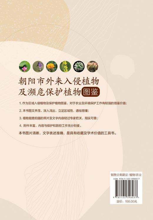 朝阳市外来入侵植物及濒危保护植物图鉴 国家保护植物名录 植物监测调查表格及规程 入侵植物 濒危保护植物 野生植物资源参考书籍 商品图1