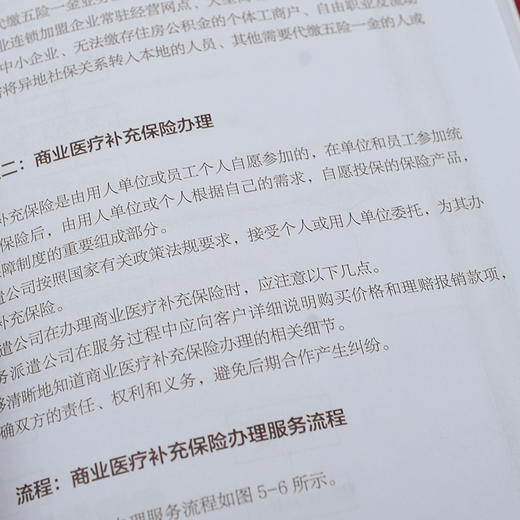 劳务派遣服务与规范化管理系列 劳务派遣公司规范化运营手册 劳务派遣服务标准与业务规范 业务运营内部管理 劳务公司经营管理书籍 商品图4