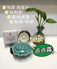 【格林缇】点点霜（除螨、祛痘、祛粉刺）30g 商品缩略图2
